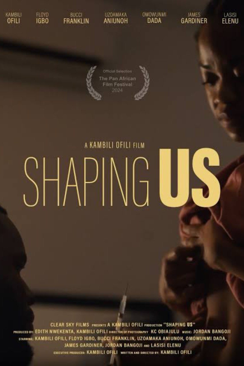 Shaping Us Hindi Dubbed Movie Poster (2024)